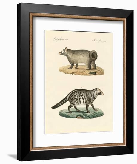 Strange Skunks-null-Framed Giclee Print