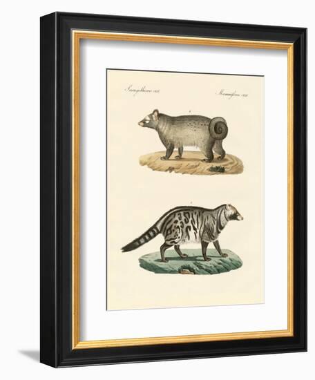 Strange Skunks-null-Framed Giclee Print