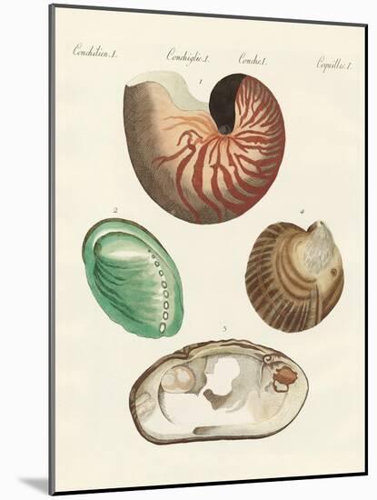 Strange Snails and Clams-null-Mounted Giclee Print