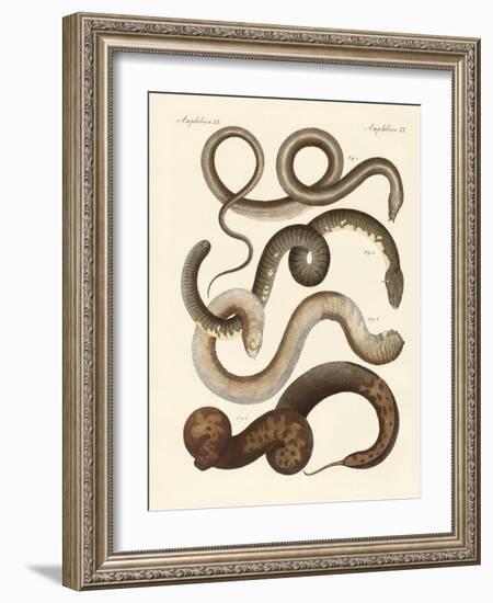 Strange Snake-null-Framed Giclee Print