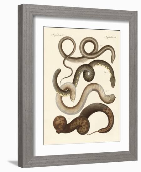 Strange Snake-null-Framed Giclee Print