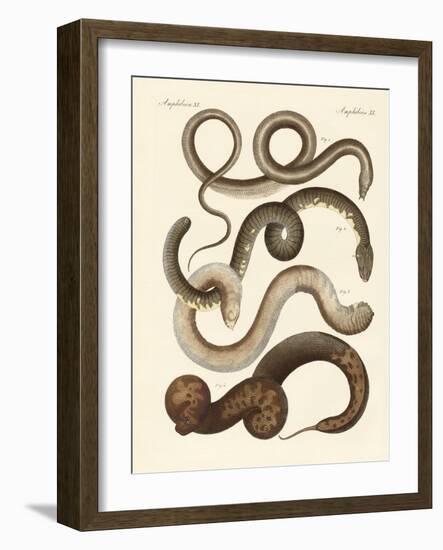 Strange Snake-null-Framed Giclee Print