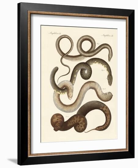 Strange Snake-null-Framed Giclee Print