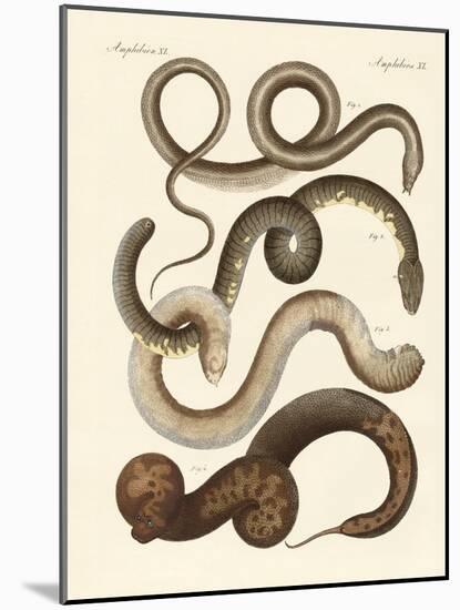 Strange Snake-null-Mounted Giclee Print