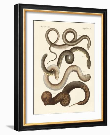 Strange Snake-null-Framed Giclee Print