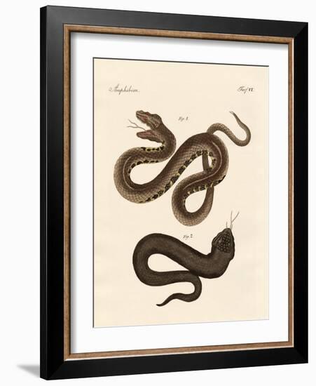 Strange Snake-null-Framed Giclee Print