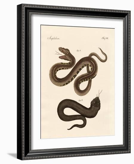 Strange Snake-null-Framed Giclee Print