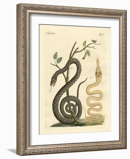 Strange Snake-null-Framed Giclee Print