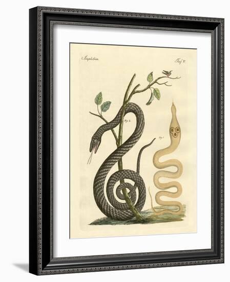 Strange Snake-null-Framed Giclee Print