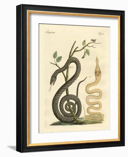 Strange Snake-null-Framed Giclee Print