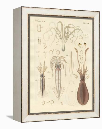 Strange Soft-Worms-null-Framed Premier Image Canvas