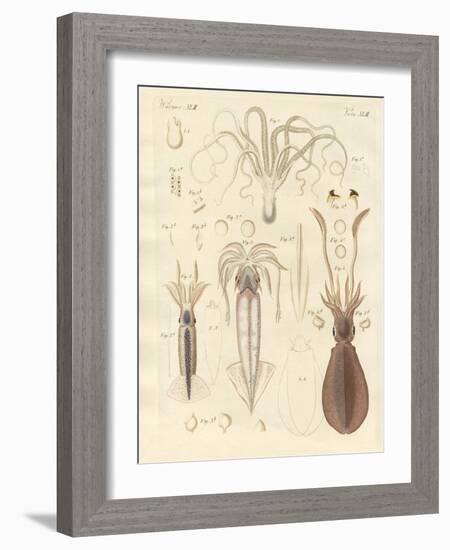 Strange Soft-Worms-null-Framed Giclee Print