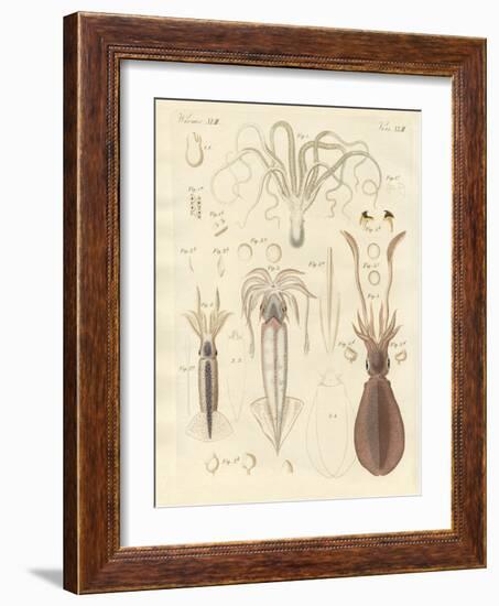 Strange Soft-Worms-null-Framed Giclee Print