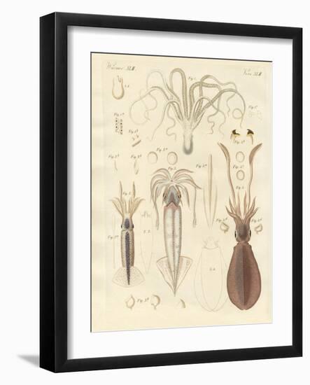 Strange Soft-Worms-null-Framed Giclee Print