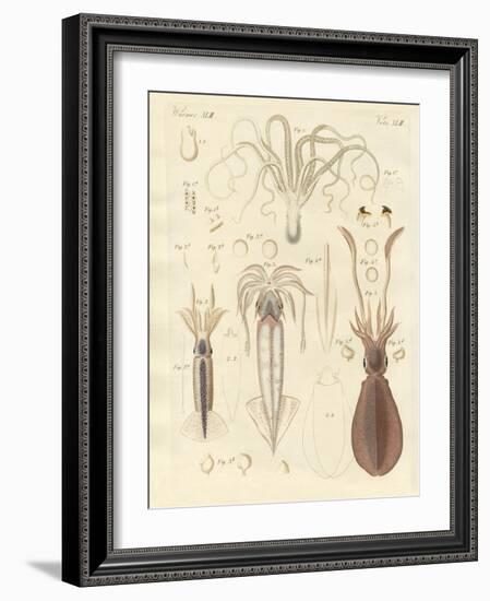 Strange Soft-Worms-null-Framed Giclee Print