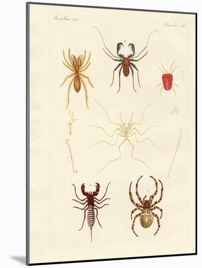 Strange Spiders-null-Mounted Giclee Print
