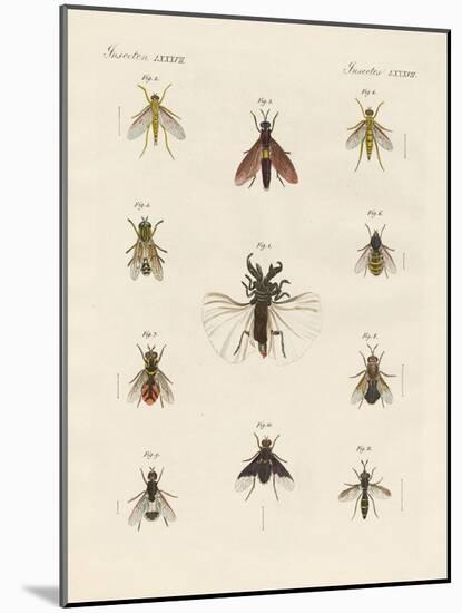 Strange Two-Winged Insects-null-Mounted Giclee Print