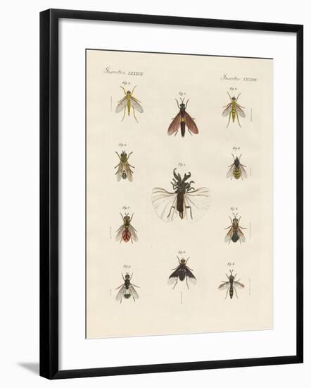 Strange Two-Winged Insects-null-Framed Giclee Print