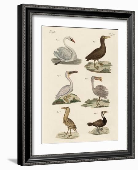 Strange Water Birds-null-Framed Giclee Print