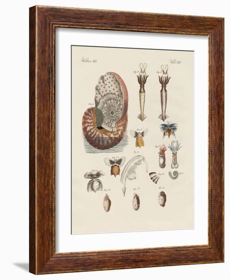 Strange Worms-null-Framed Giclee Print