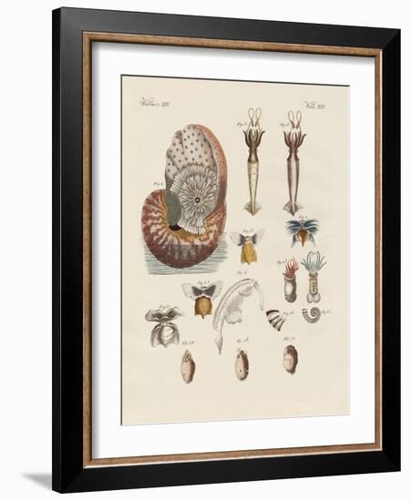 Strange Worms-null-Framed Giclee Print