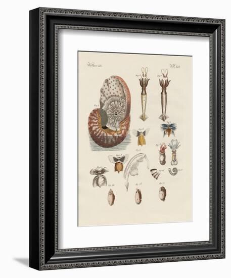 Strange Worms-null-Framed Giclee Print