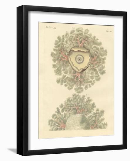 Strange Worms-null-Framed Giclee Print