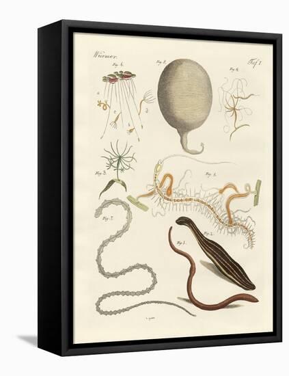 Strange Worms-null-Framed Premier Image Canvas