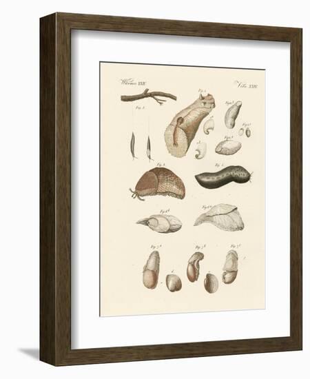 Strange Worms-null-Framed Giclee Print