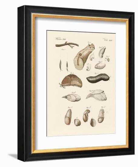 Strange Worms-null-Framed Giclee Print