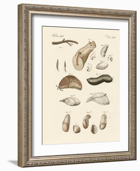 Strange Worms-null-Framed Giclee Print