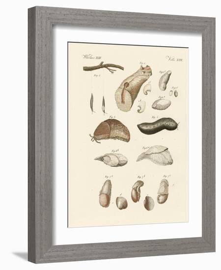 Strange Worms-null-Framed Giclee Print