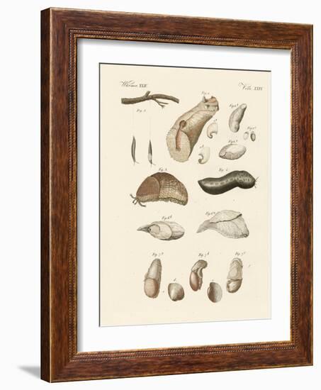 Strange Worms-null-Framed Giclee Print