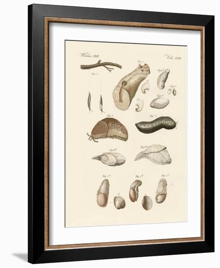 Strange Worms-null-Framed Giclee Print