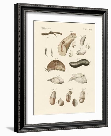 Strange Worms-null-Framed Giclee Print