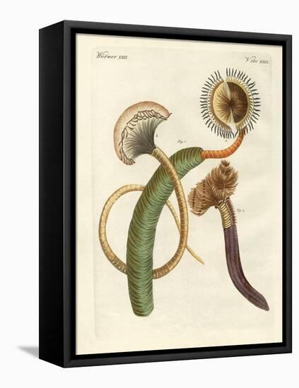 Strange Worms-null-Framed Premier Image Canvas