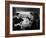 Strangers on a Train, 1951-null-Framed Photographic Print