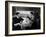 Strangers on a Train, 1951-null-Framed Photographic Print