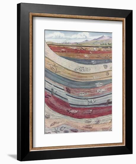 Strata of the Earth's Crust-null-Framed Giclee Print