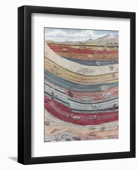 Strata of the Earth's Crust-null-Framed Giclee Print