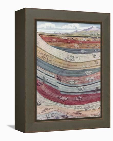 Strata of the Earth's Crust-null-Framed Premier Image Canvas