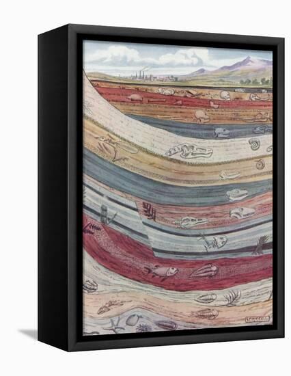 Strata of the Earth's Crust-null-Framed Premier Image Canvas