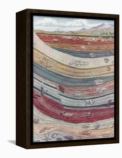 Strata of the Earth's Crust-null-Framed Premier Image Canvas