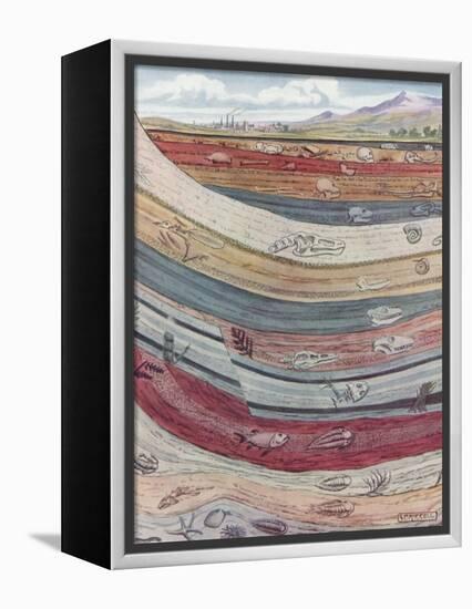 Strata of the Earth's Crust-null-Framed Premier Image Canvas