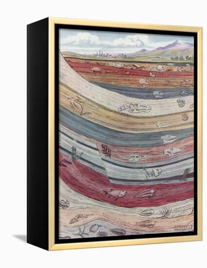 Strata of the Earth's Crust-null-Framed Premier Image Canvas