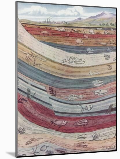 Strata of the Earth's Crust-null-Mounted Giclee Print