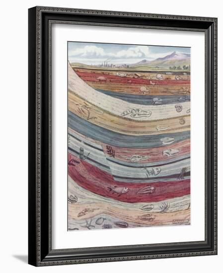 Strata of the Earth's Crust-null-Framed Giclee Print