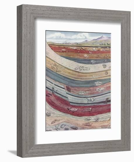 Strata of the Earth's Crust-null-Framed Premium Giclee Print