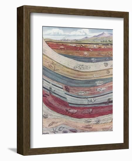 Strata of the Earth's Crust-null-Framed Premium Giclee Print