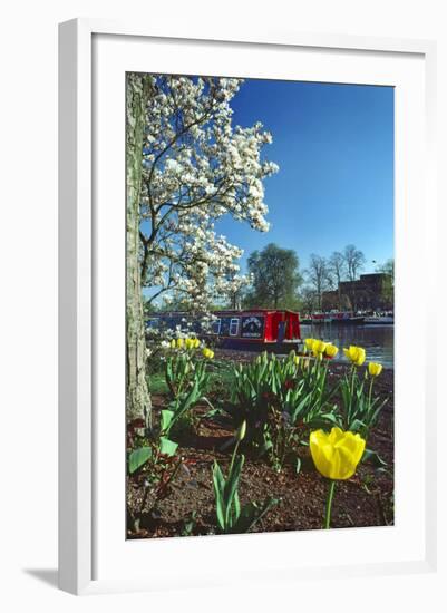 Stratford Spring Flowers-Charles Bowman-Framed Photographic Print